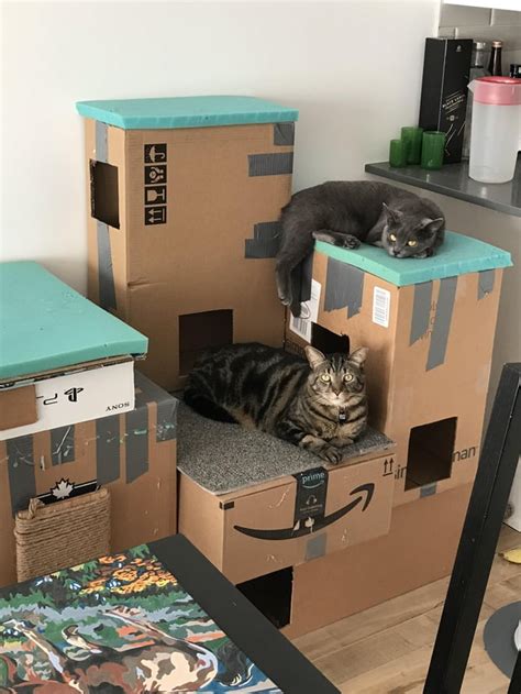 DIY’ed a tower for my cats from amazon’s boxes. I think they enjoy it ...