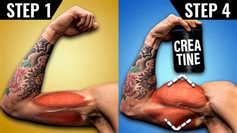 How To Use Creatine For Muscle Growth (4 Steps)