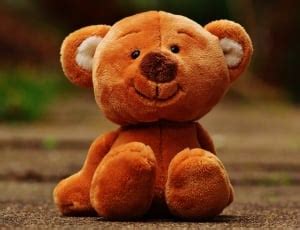 brown teddy bear and storage box free image | Peakpx