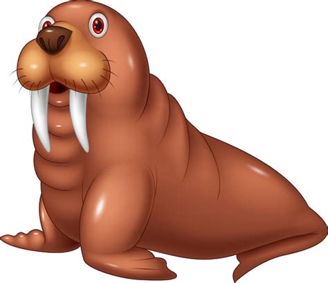 Premium Vector | Cartoon cute walrus