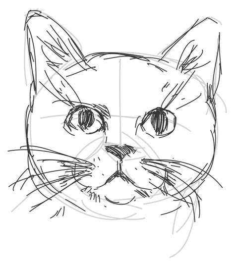 How to draw a cat. | Cat drawing tutorial, Art drawings sketches, Drawings