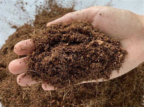 The Influence of Coco Coir and Its Benefits to Plant Growth