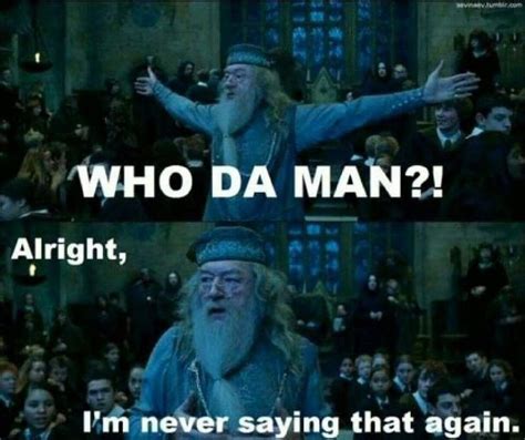 Top 23 Harry Potter Memes Dumbledore | Harry potter funny pictures, Harry potter funny, Harry ...