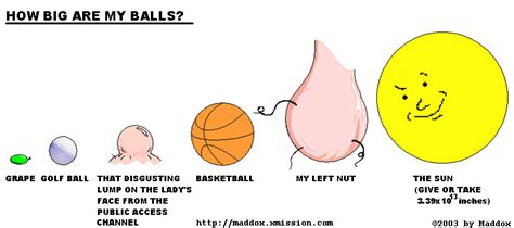 My balls are huge.