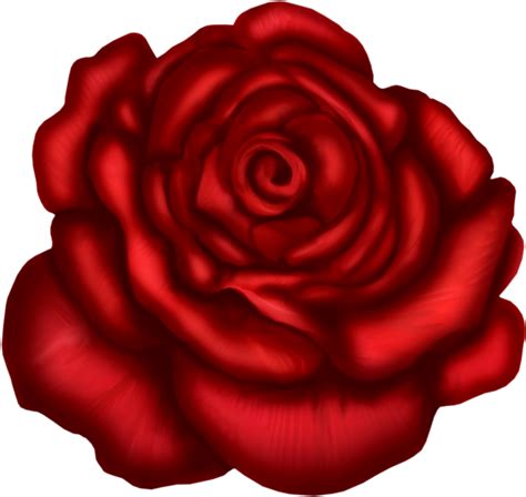 Download Red Rose Art Picture - Floribunda - Full Size PNG Image - PNGkit