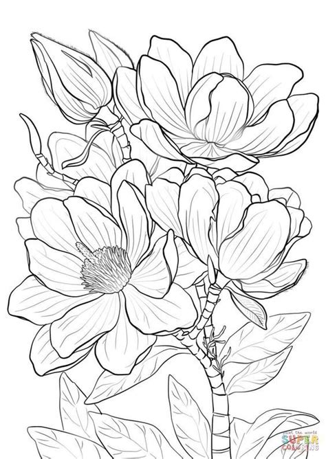 Desenho De Flores E Folhas Para Adultos Para Colorir Tudodesenhos | My ...