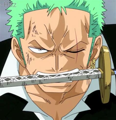 Pin by Fonias(Lily) on Roronoa Zoro ♡♡ | Zoro one piece, Anime, One ...