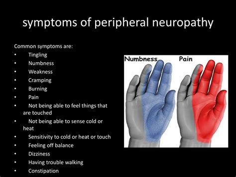 PPT - Peripheral Neuropathy PowerPoint Presentation, free download - ID:1313109