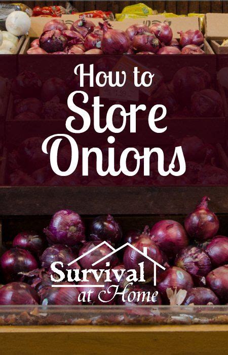 How to Store Onions Long Term - Survival at Home | Frutas y verduras, Consejos de cocina, Alimentos