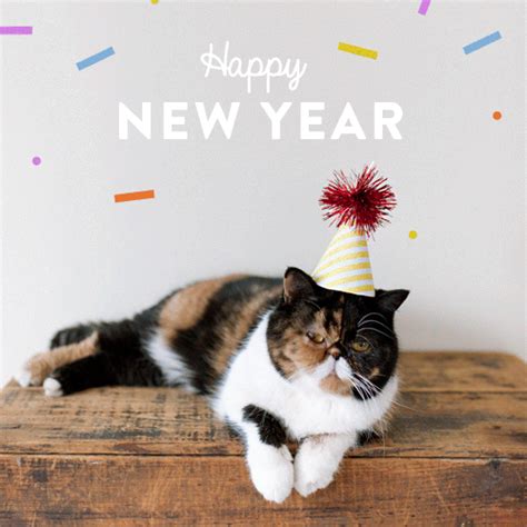 Happy New Year Cat | Happy new year gif, Happy new year animation, New year gif