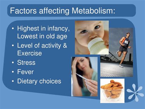 PPT - Introduction to Metabolism PowerPoint Presentation, free download ...