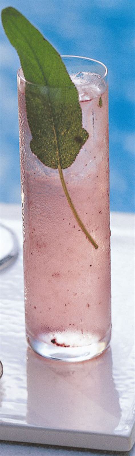 5 Healthy, Refreshing Mocktails (Alcohol Optional) to Kick Off Summertime | Watermelon mojito ...