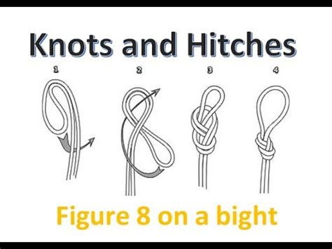 How to tie a Figure 8 knot on a bight - YouTube