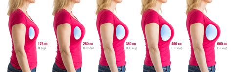 9,391 BEST Breast Sizes IMAGES, STOCK PHOTOS & VECTORS | Adobe Stock