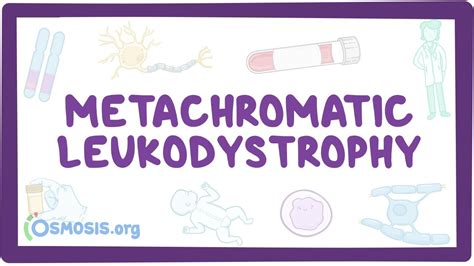 Metachromatic leukodystrophy (NORD): Video & Anatomy | Osmosis