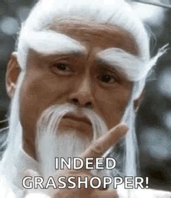 Master Kung Fu Indeed Grasshopper GIF | GIFDB.com