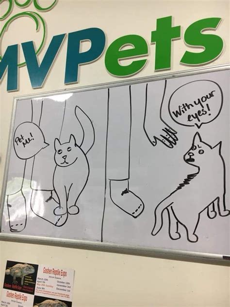 My friend draws the best cartoons working at a pet store. This is my favorite.