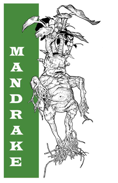 HARRY POTTER: MANDRAKE by Jerome-K-Moore on DeviantArt