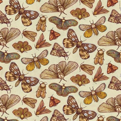 MOTH PATTERN - Kate O'Hara Illustration | Moth illustration, Moth art print, Pattern art