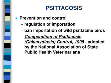 PPT - PSITTACOSIS PowerPoint Presentation, free download - ID:61507