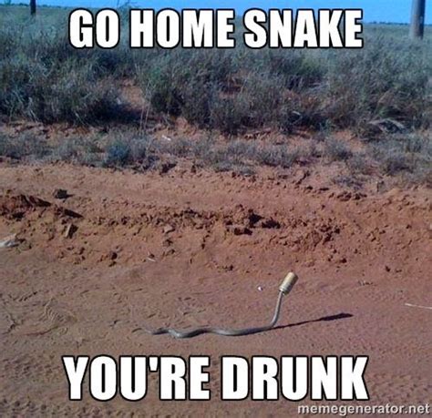 snake meme | Snake memes are awesome ! | Meanwhile in australia, Funny fails, Funny pictures