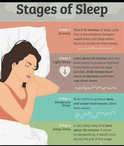 Stages Of Sleep