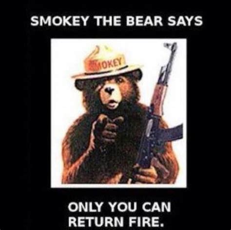 Smokey_the_bear Bear Safety, Fire Safety, Gun Quotes, Work Quotes, Gun ...