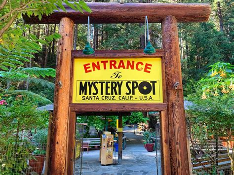 Tripping out at the Mystery Spot | Santa cruz mystery spot, Santa cruz ...