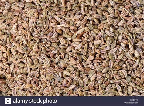 Ajwain lovage seeds close up Stock Photo - Alamy