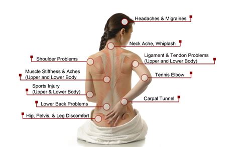 Massage Benefits Diagram - Blume Healing Center