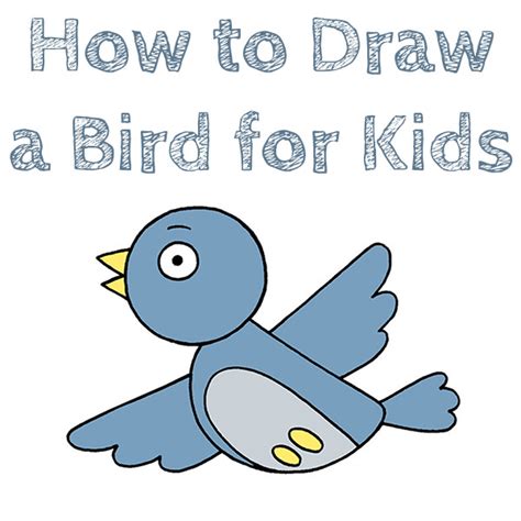 How to Draw a Bird for Kids - How to Draw Easy