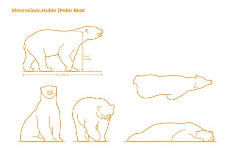 Polar Bears | Polar bear, Animal outline, Bear art