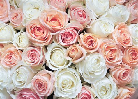 √ Light Pink Roses Background