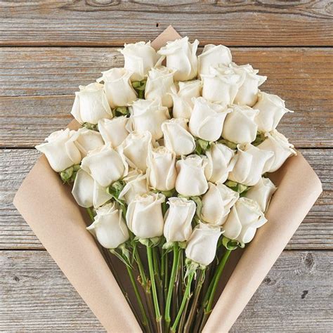 Hollywoodland in 2021 | White roses, Rose bouquet, Best roses