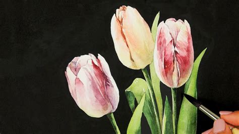 Watercolor Painting | Tulip - YouTube