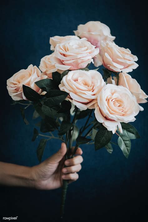 Download premium image of Hand holding a bouquet of light orange roses | Hand holding rose ...