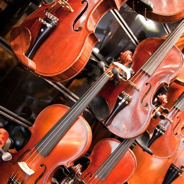 Torn Between Two Strings: Violin or Viola?
