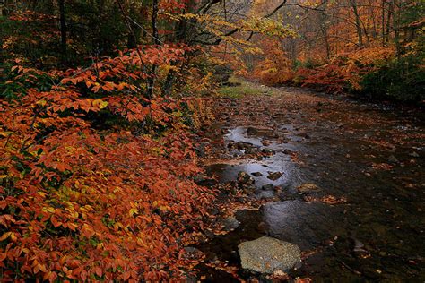 crisp autumn mornings: Photo