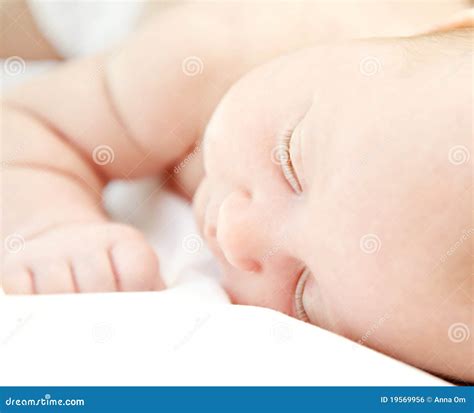 Cute little baby sleeping stock photo. Image of baby - 19569956