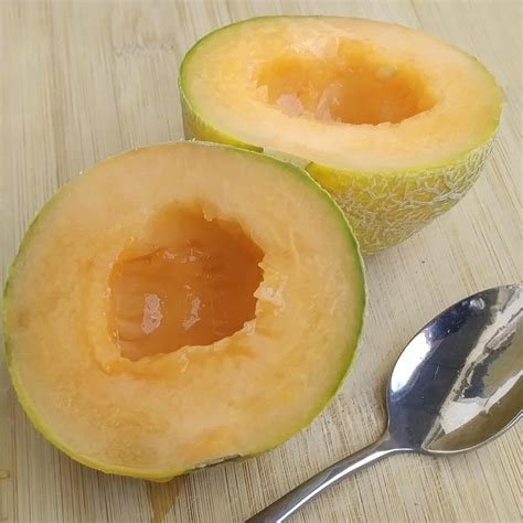 Melon 'Blenheim Orange' (Cucumis melo) seeds