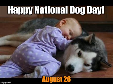 National Dog Day - Imgflip