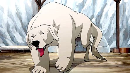 Polar bear dog - Avatar Wiki, the Avatar: The Last Airbender resource