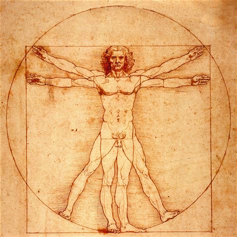 El Hombre de Vitruvio (de Leonardo da Vinci) | Da vinci vitruvian man, Vitruvian man, Leonardo ...