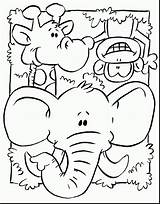 Animal Coloring Pages  Best For Kids sketch template