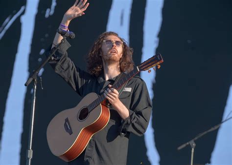 Hozier Live at Lollapalooza [GALLERY] - Chicago Music Guide