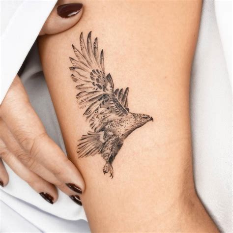 Micro-realistic falcon tattooed on the inner arm.