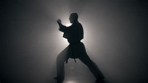 Black Belt Karate Stock Footage Video | Shutterstock