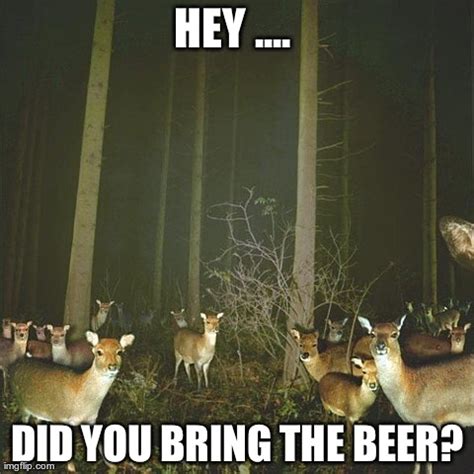 Image tagged in funny,animals,deer,beer - Imgflip