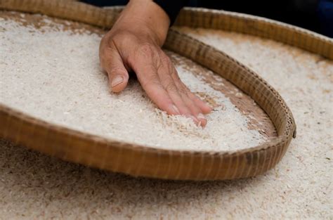 Premium Photo | Woman competitive winnowing rice by using bamboo basketwork outdoor