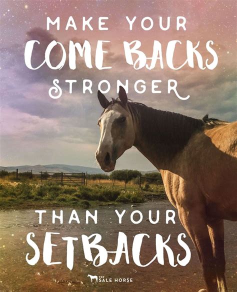 25+ best Inspirational Horse Quotes on Pinterest | Horse quotes, Horse riding quotes and Riding ...